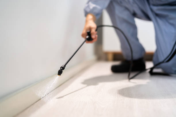 Bed Bug Pre-Treatment Preparation Assessment in Hiller