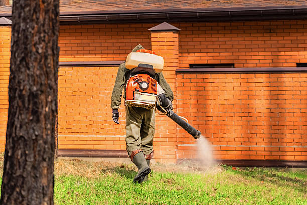 Bed Bug Clearance Verification and Documentation in Hiller